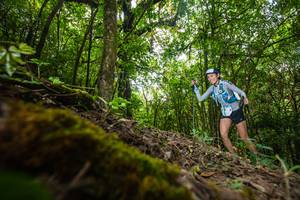 BIB: 
                            <button type="button" onclick="openModal(16008380)" class="btn btn-primary btn-sm float-right btn-popup" data-toggle="modal" data-target=".modal-high-quality">
                        <i class="fas fa-shopping-cart"></i> Add to Cart
                    </button>
                                            <button type="button" onclick="isThisMe(16008380, true)" class="btn btn-success btn-sm float-right btn-popup btn-isme hidden" data-toggle="tooltip" data-placement="bottom" title="นี่คือรูปของคุณใช่ไหม คลิกที่นี่เพื่อเอาเข้าอัลบั้ม">
                        <i class="fas fa-plus"></i> Add to album
                    </button>
                    <button type="button" onclick="isThisMe(16008380, false)" class="btn btn-warning btn-sm float-right btn-popup btn-isnotme hidden">
                        <i class="fas fa-ban"></i> Remove from album
                    </button>